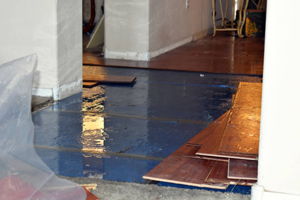 Professional Burst Pipe Cleanup technician working in Fruitland, WA